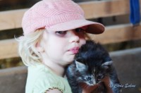 Klicka för med bilder av Rönningstorpet